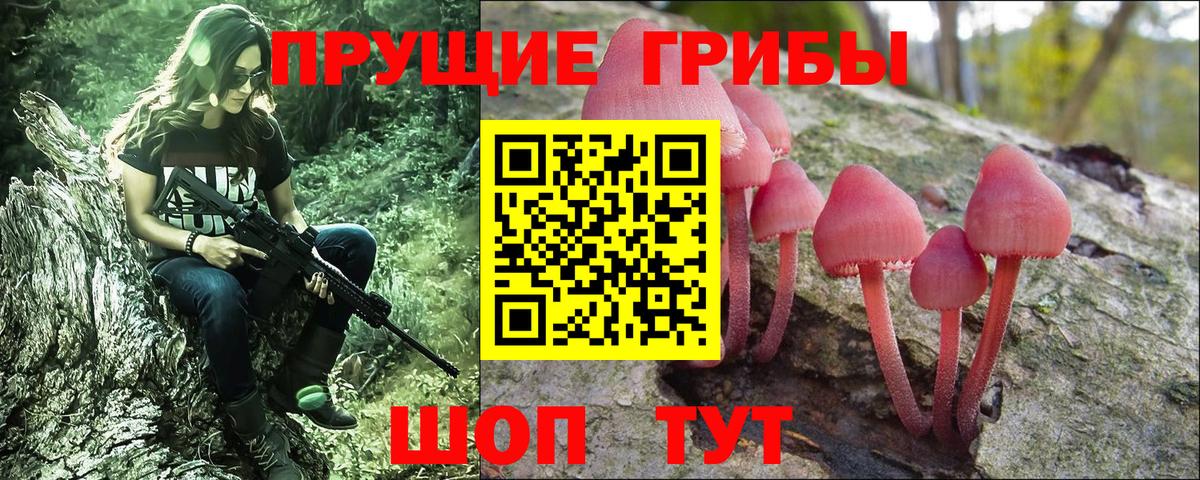 Норильск  закладка  Вход с VPN  Галлюциногенные грибы Cubensis 